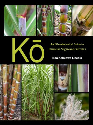 cover image of Kō